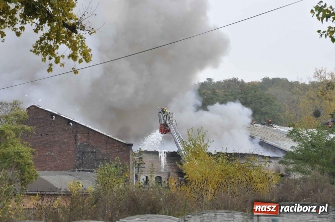 Zdjęcie w galerii na portalu naszraciborz.pl: Pożar hali przy ul. Zakładowej w Brzeziu wciąż szaleje. Przed 20.00 do akcji wszedł ciężki sprzęt do burzenia murów. Tylko u nas FOTO i WIDEO wiadomości z regionu