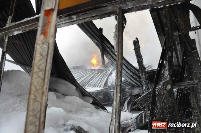 Zdjęcie w galerii na portalu naszraciborz.pl: Pożar hali przy ul. Zakładowej w Brzeziu wciąż szaleje. Przed 20.00 do akcji wszedł ciężki sprzęt do burzenia murów. Tylko u nas FOTO i WIDEO wiadomości z regionu