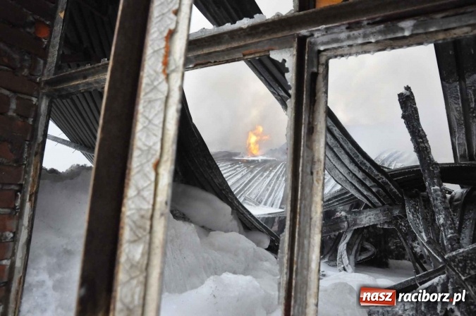 Zdjęcie w galerii na portalu naszraciborz.pl: Pożar hali przy ul. Zakładowej w Brzeziu wciąż szaleje. Przed 20.00 do akcji wszedł ciężki sprzęt do burzenia murów. Tylko u nas FOTO i WIDEO wiadomości z regionu