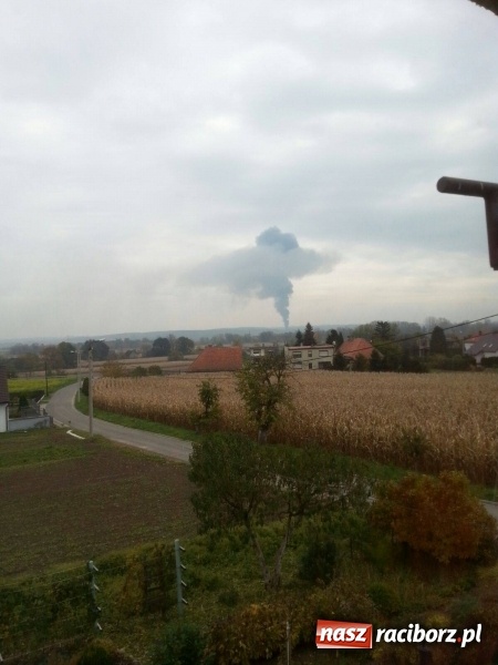 Zdjęcie w galerii na portalu naszraciborz.pl: Czy kłęby dymu wydobywające się z hali przy Zakładowej są szkodliwe? Prezydent na miejscu akcji wiadomości z regionu