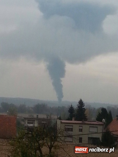 Zdjęcie w galerii na portalu naszraciborz.pl: Czy kłęby dymu wydobywające się z hali przy Zakładowej są szkodliwe? Prezydent na miejscu akcji wiadomości z regionu