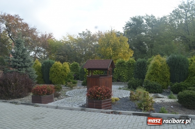 Zdjęcie w galerii na portalu naszraciborz.pl: Harcerze z Raciborza na biwaku w Brzeźnicy wiadomości z regionu