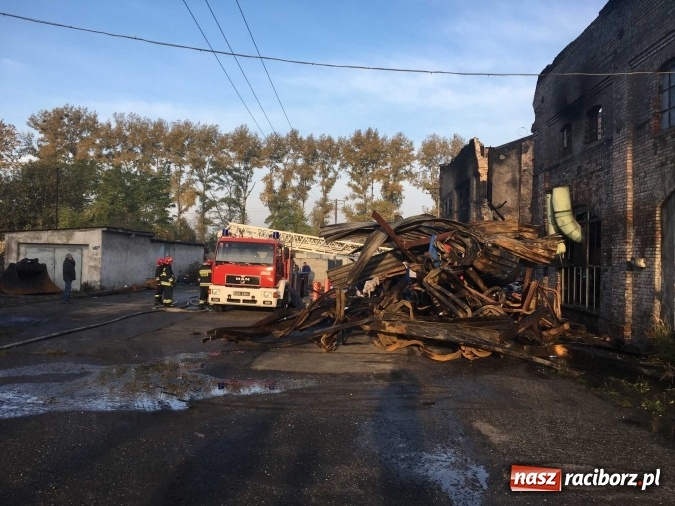Zdjęcie w galerii na portalu naszraciborz.pl: Komunikat Starostwa Powiatowego. Odpady w Raciborzu-Brzeziu przy Zakładowej gromadzono nielegalnie! wiadomości z regionu