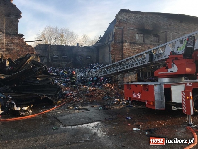 Zdjęcie w galerii na portalu naszraciborz.pl: Komunikat Starostwa Powiatowego. Odpady w Raciborzu-Brzeziu przy Zakładowej gromadzono nielegalnie! wiadomości z regionu