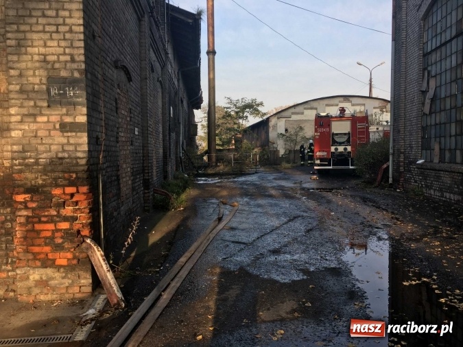 Zdjęcie w galerii na portalu naszraciborz.pl: Komunikat Starostwa Powiatowego. Odpady w Raciborzu-Brzeziu przy Zakładowej gromadzono nielegalnie! wiadomości z regionu