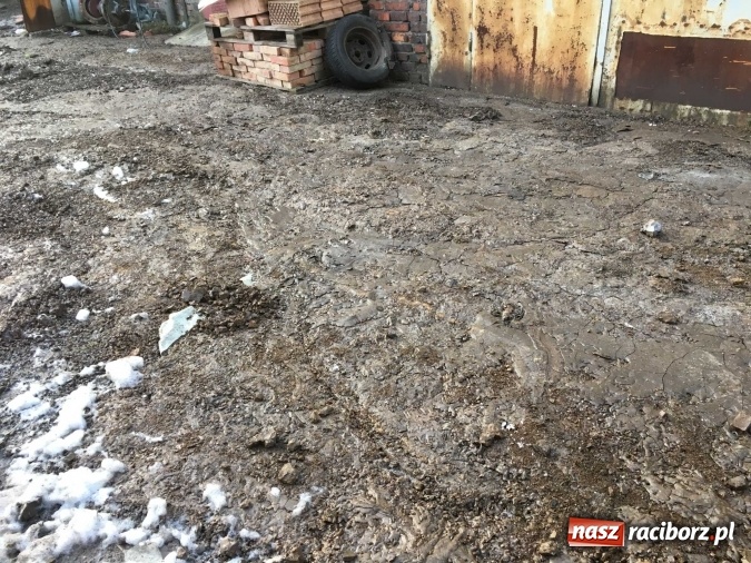 Zdjęcie w galerii na portalu naszraciborz.pl: Komunikat Starostwa Powiatowego. Odpady w Raciborzu-Brzeziu przy Zakładowej gromadzono nielegalnie! wiadomości z regionu