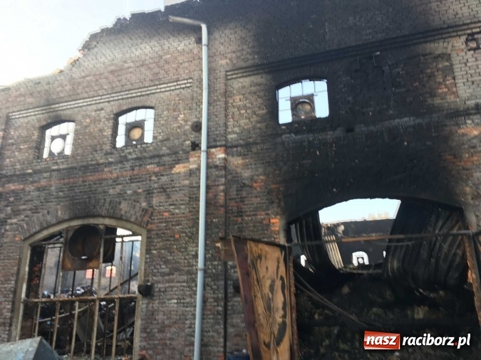 Zdjęcie w galerii na portalu naszraciborz.pl: Komunikat Starostwa Powiatowego. Odpady w Raciborzu-Brzeziu przy Zakładowej gromadzono nielegalnie! wiadomości z regionu