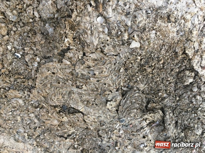 Zdjęcie w galerii na portalu naszraciborz.pl: Komunikat Starostwa Powiatowego. Odpady w Raciborzu-Brzeziu przy Zakładowej gromadzono nielegalnie! wiadomości z regionu