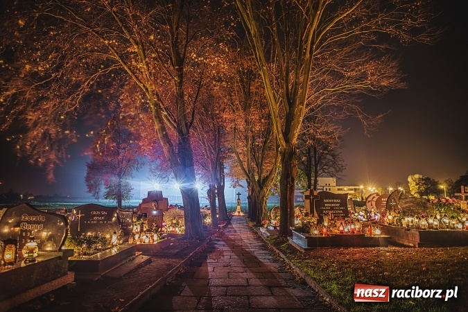 Zdjęcie w galerii na portalu naszraciborz.pl: Organizacja ruchu i komunikacja miejska we Wszystkich Świętych. Będzie dodatkowa bezpłatna linia autobusowa wiadomości z regionu