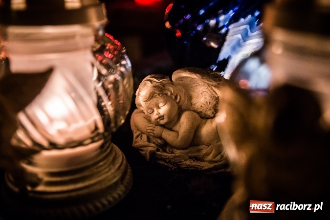 Zdjęcie w galerii na portalu naszraciborz.pl: Organizacja ruchu i komunikacja miejska we Wszystkich Świętych. Będzie dodatkowa bezpłatna linia autobusowa wiadomości z regionu