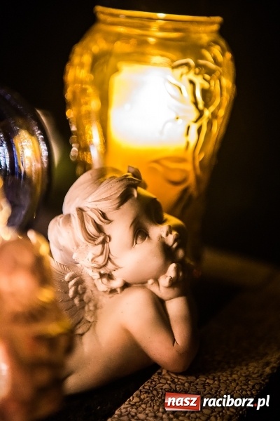 Zdjęcie w galerii na portalu naszraciborz.pl: Organizacja ruchu i komunikacja miejska we Wszystkich Świętych. Będzie dodatkowa bezpłatna linia autobusowa wiadomości z regionu