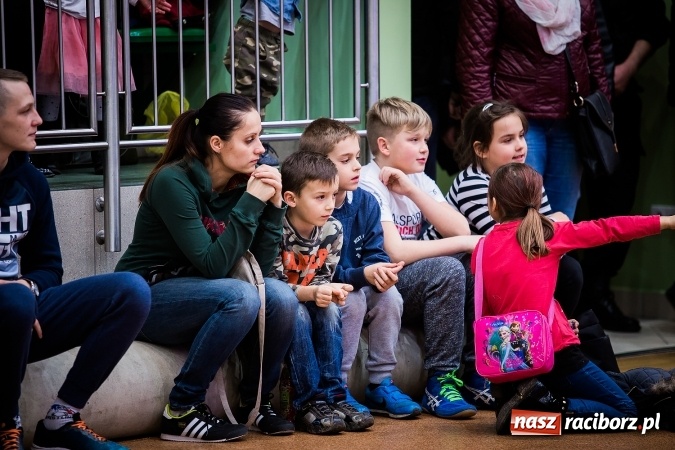 Zdjęcie w galerii na portalu naszraciborz.pl: Krajowa Liga Zapaśnicza: Inauguracyjne zwycięstwo MKZ Unia Racibórz wiadomości z regionu