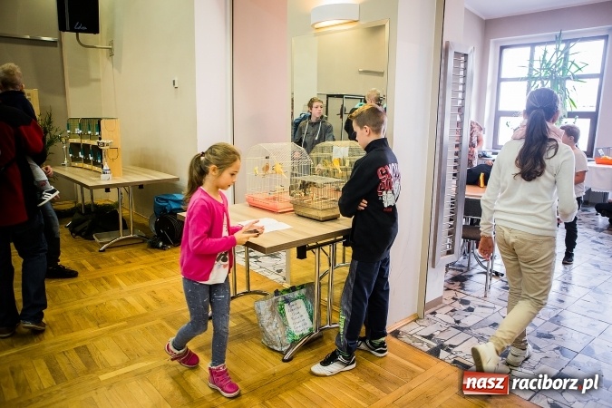 Zdjęcie w galerii na portalu naszraciborz.pl: Wystawa ptaków i gryzoni w Tworkowie wiadomości z regionu