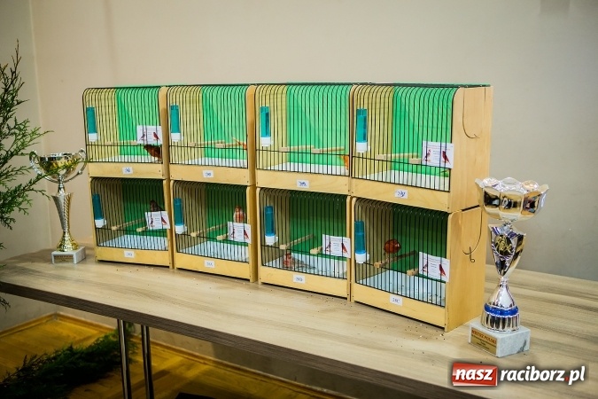 Zdjęcie w galerii na portalu naszraciborz.pl: Wystawa ptaków i gryzoni w Tworkowie wiadomości z regionu