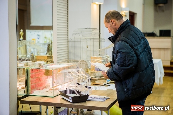Zdjęcie w galerii na portalu naszraciborz.pl: Wystawa ptaków i gryzoni w Tworkowie wiadomości z regionu