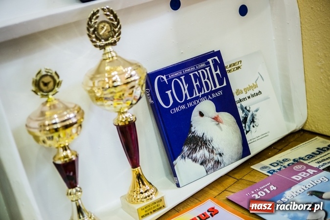 Zdjęcie w galerii na portalu naszraciborz.pl: Wystawa ptaków i gryzoni w Tworkowie wiadomości z regionu