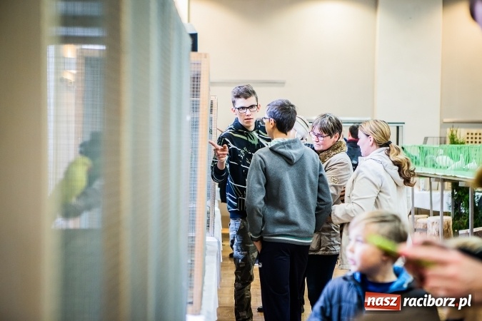 Zdjęcie w galerii na portalu naszraciborz.pl: Wystawa ptaków i gryzoni w Tworkowie wiadomości z regionu