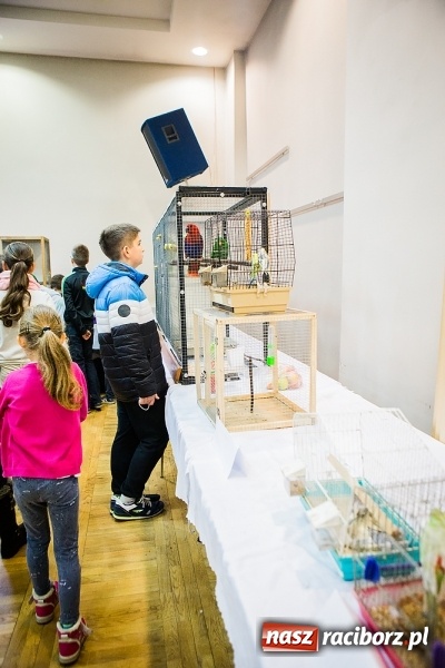 Zdjęcie w galerii na portalu naszraciborz.pl: Wystawa ptaków i gryzoni w Tworkowie wiadomości z regionu