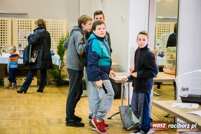 Zdjęcie w galerii na portalu naszraciborz.pl: Wystawa ptaków i gryzoni w Tworkowie wiadomości z regionu