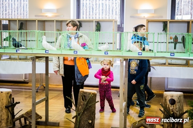 Zdjęcie w galerii na portalu naszraciborz.pl: Wystawa ptaków i gryzoni w Tworkowie wiadomości z regionu