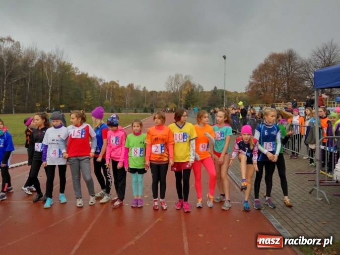 Zdjęcie w galerii na portalu naszraciborz.pl: Wojewódzki finał biegów sztafetowych. Dobre starty raciborzan  wiadomości z regionu