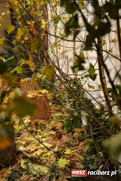 Zdjęcie w galerii na portalu naszraciborz.pl: Graj piękny Cyganie - program rozrywkowy na Zamku Piastowskim  wiadomości z regionu