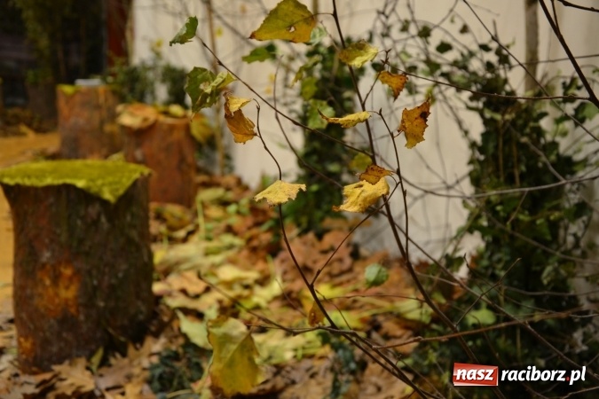 Zdjęcie w galerii na portalu naszraciborz.pl: Graj piękny Cyganie - program rozrywkowy na Zamku Piastowskim  wiadomości z regionu