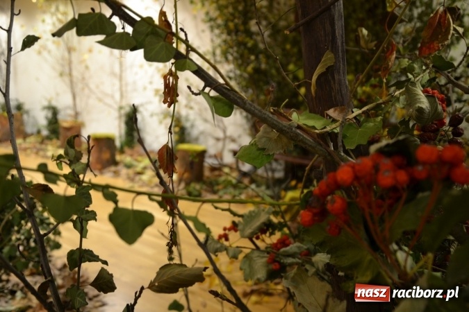 Zdjęcie w galerii na portalu naszraciborz.pl: Graj piękny Cyganie - program rozrywkowy na Zamku Piastowskim  wiadomości z regionu