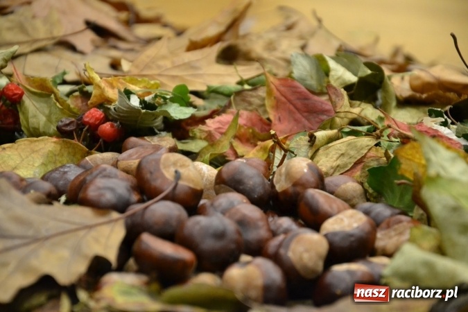 Zdjęcie w galerii na portalu naszraciborz.pl: Graj piękny Cyganie - program rozrywkowy na Zamku Piastowskim  wiadomości z regionu