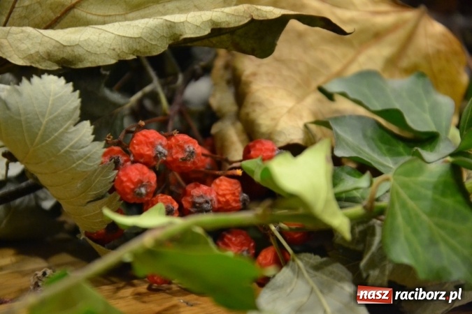 Zdjęcie w galerii na portalu naszraciborz.pl: Graj piękny Cyganie - program rozrywkowy na Zamku Piastowskim  wiadomości z regionu