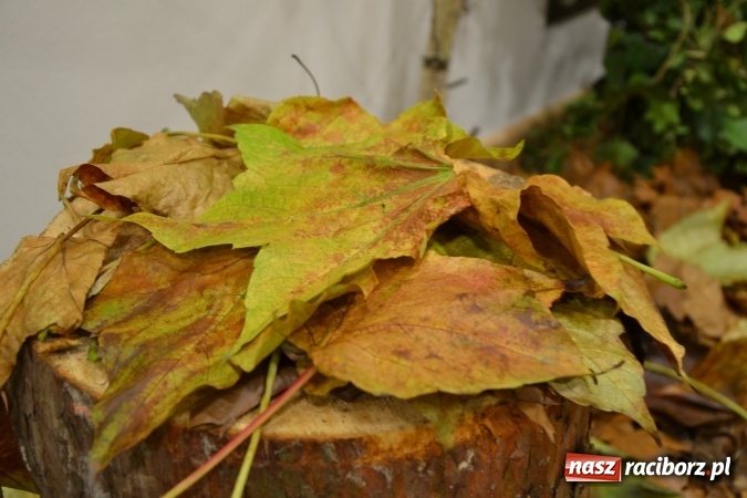 Zdjęcie w galerii na portalu naszraciborz.pl: Graj piękny Cyganie - program rozrywkowy na Zamku Piastowskim  wiadomości z regionu