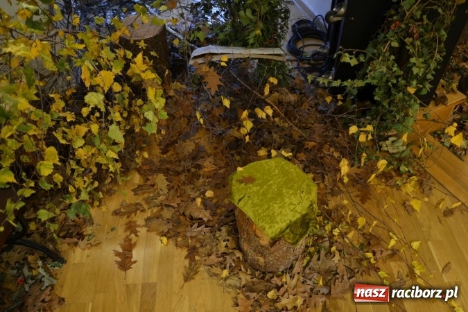 Zdjęcie w galerii na portalu naszraciborz.pl: Graj piękny Cyganie - program rozrywkowy na Zamku Piastowskim  wiadomości z regionu