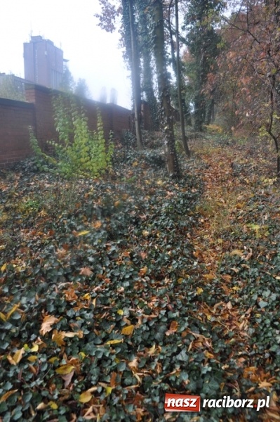 Zdjęcie w galerii na portalu naszraciborz.pl: Raciborski akcent na obchody 500-lecia reformacji wiadomości z regionu