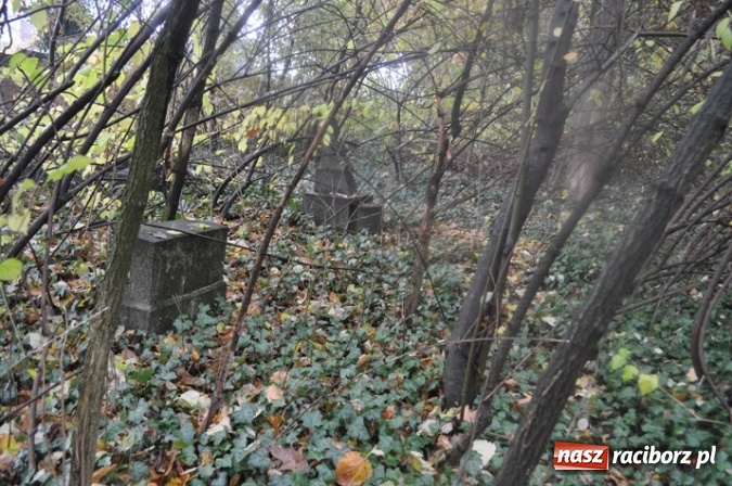 Zdjęcie w galerii na portalu naszraciborz.pl: Raciborski akcent na obchody 500-lecia reformacji wiadomości z regionu