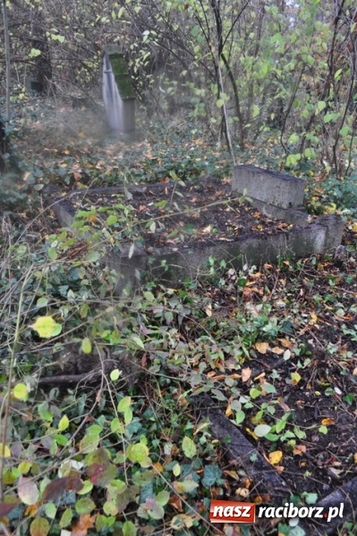 Zdjęcie w galerii na portalu naszraciborz.pl: Raciborski akcent na obchody 500-lecia reformacji wiadomości z regionu