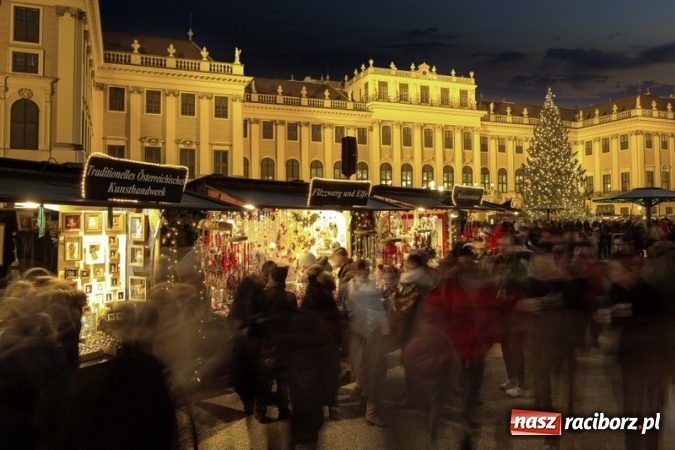 Zdjęcie w galerii na portalu naszraciborz.pl: Cesarski Wiedeń - zobacz najpiękniejszy Jarmark Bożonarodzeniowy wiadomości z regionu