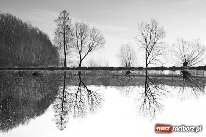 Zdjęcie w galerii na portalu naszraciborz.pl: Czysta woda = Piękna wieś. Znamy zwycięzców konkursu Zadbajmy o wodę na wsi  wiadomości z regionu