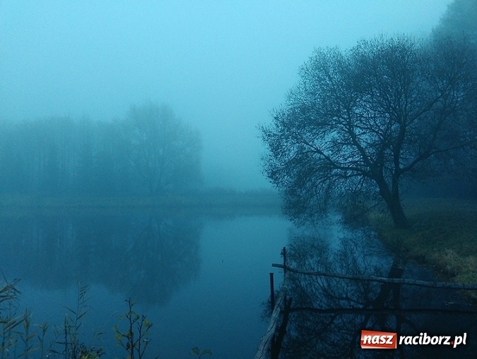 Zdjęcie w galerii na portalu naszraciborz.pl: Czysta woda = Piękna wieś. Znamy zwycięzców konkursu Zadbajmy o wodę na wsi  wiadomości z regionu