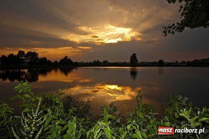 Zdjęcie w galerii na portalu naszraciborz.pl: Czysta woda = Piękna wieś. Znamy zwycięzców konkursu Zadbajmy o wodę na wsi  wiadomości z regionu