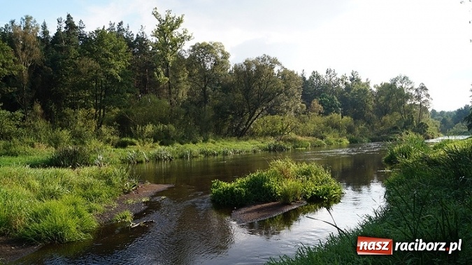 Zdjęcie w galerii na portalu naszraciborz.pl: Czysta woda = Piękna wieś. Znamy zwycięzców konkursu Zadbajmy o wodę na wsi  wiadomości z regionu