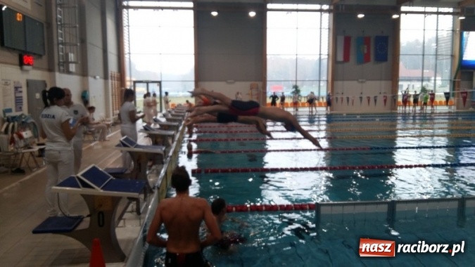 Zdjęcie w galerii na portalu naszraciborz.pl: Raciborscy pływacy gromią rywali  wiadomości z regionu