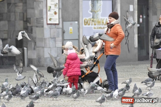 Zdjęcie w galerii na portalu naszraciborz.pl: Raciborskie obchody 98. rocznicy odzyskania przez POLSKĘ niepodległości FOTO I WIDEO wiadomości z regionu