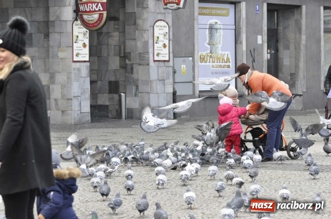 Zdjęcie w galerii na portalu naszraciborz.pl: Raciborskie obchody 98. rocznicy odzyskania przez POLSKĘ niepodległości FOTO I WIDEO wiadomości z regionu