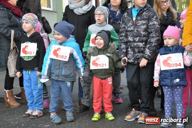 Zdjęcie w galerii na portalu naszraciborz.pl: Komu marsz to za mało... ten biega. 17. Bieg Niepodległości w Kuźni Raciborskiej wiadomości z regionu