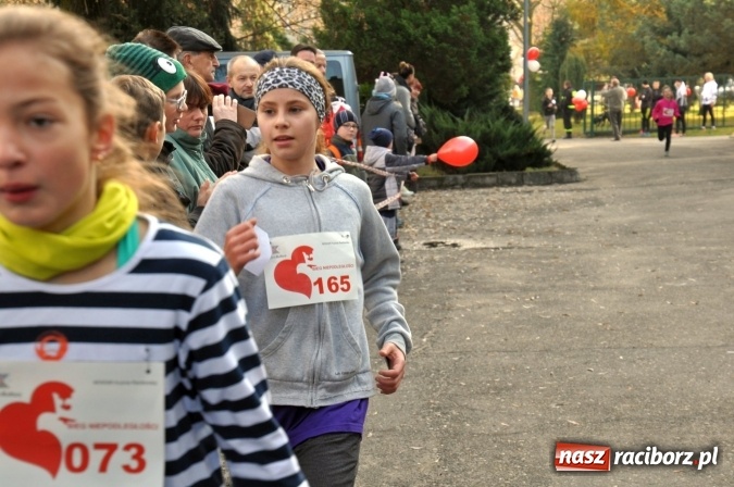 Zdjęcie w galerii na portalu naszraciborz.pl: Komu marsz to za mało... ten biega. 17. Bieg Niepodległości w Kuźni Raciborskiej wiadomości z regionu