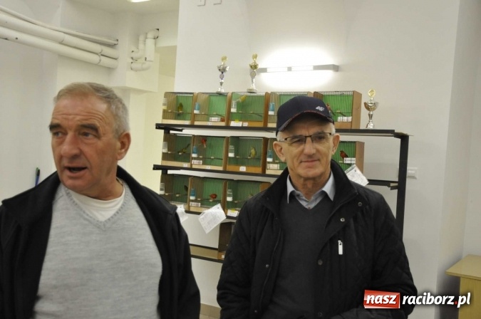 Zdjęcie w galerii na portalu naszraciborz.pl: W dawnym Labiryncie można oglądać kanarki i ptaki egzotyczne wiadomości z regionu