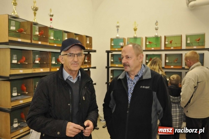 Zdjęcie w galerii na portalu naszraciborz.pl: W dawnym Labiryncie można oglądać kanarki i ptaki egzotyczne wiadomości z regionu