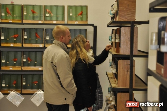 Zdjęcie w galerii na portalu naszraciborz.pl: W dawnym Labiryncie można oglądać kanarki i ptaki egzotyczne wiadomości z regionu