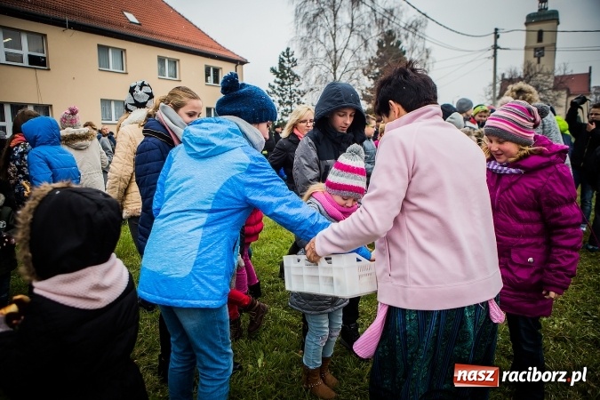 Zdjęcie w galerii na portalu naszraciborz.pl: W Samborowicach wspominano dziś św. Marcina z Tours wiadomości z regionu
