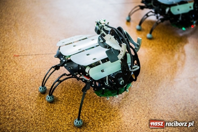 Zdjęcie w galerii na portalu naszraciborz.pl: Raciborski Festiwal Perspektyw na Światowy Tydzień Przedsiębiorczości wiadomości z regionu